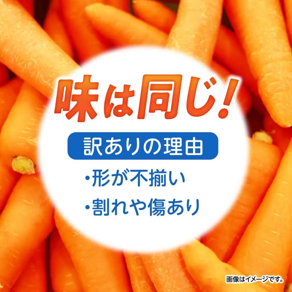 ※【2026年11月下旬より順次発送／先行予約】【訳あり】滝さんのにんじん 10kg AHCU005 にんじん