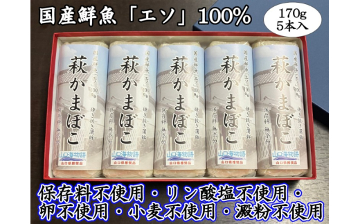 萩かまぼこ 170g 白5本【化粧箱入】（国産鮮魚エソ100％）　｜HG000076