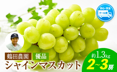 【優品】先行予約 シャインマスカット 鶴田農園 約1.3kg (2～3房) 熊本県荒尾市産《8月下旬-9月下旬頃出荷》熊本県 荒尾市 フルーツ 果物 送料無料 葡萄 ぶどう マスカット