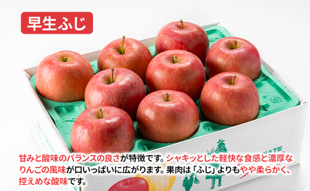 【10月から発送】 りんご 盛岡から「農で人をつなぐ」藤与果樹園：《 訳あり 》おまかせ中生品種詰め合わせ（ シナノスイート ジョナゴールド 早生ふじ ）約10kg 24～40玉 玉数指定不可 詰め合