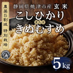 a16-131　農薬5割減 特別栽培 コシヒカリ または きぬむすめ 玄米 5kg