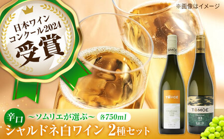 ソムリエが選ぶ冷やして飲みたい三次の シャルドネ 白ワイン 受賞 飲みワインセット ギフト[APAZ025] ワイン ワイン ワイン ワイン ワイン
