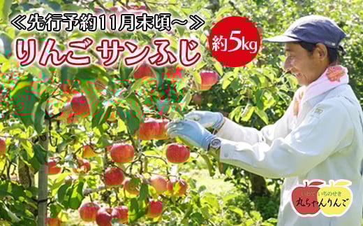 家庭用 りんご サンふじ 約5㎏ ≪先行予約11月下旬頃～順次発送≫