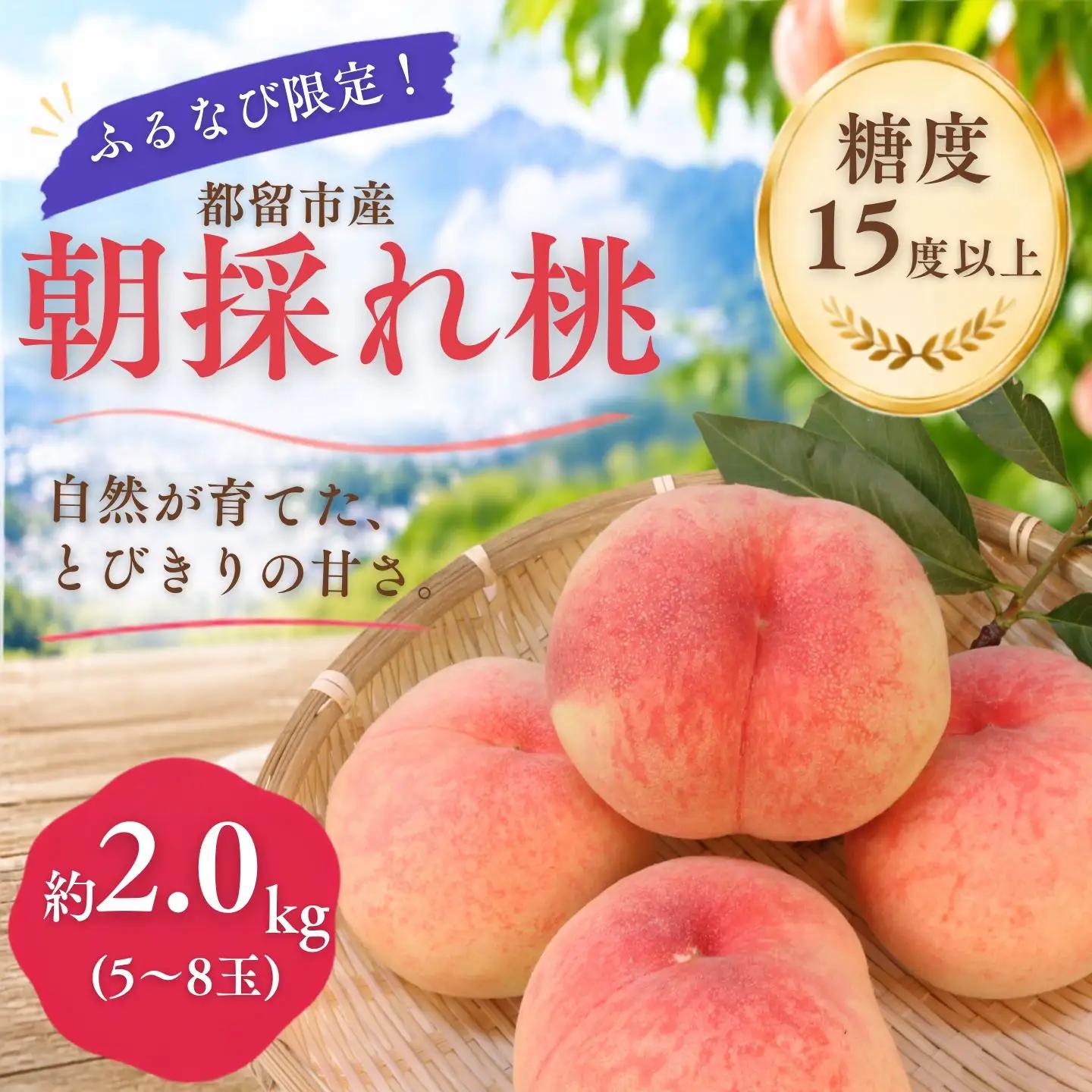 【ふるなび限定！】【2027年先行予約】糖度15度以上 都留市産 朝採れ桃 約2.0kg(５～８玉）