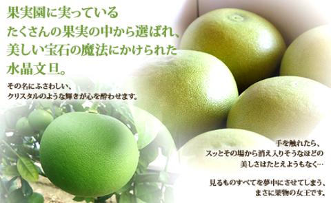 先行予約受付！高知県香南市産 水晶文旦 約3kg（5～7玉入り）- 送料無料 果物 くだもの フルーツ 柑橘 ブンタン ぶんたん デザート 期間限定 おすそ分け 贈答 高知県 香南市 ku-0031