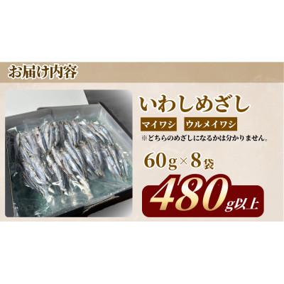 ふるさと納税 宮津市 いわしめざし　60g×8袋　マイワシ　ウルメイワシ |  | 02