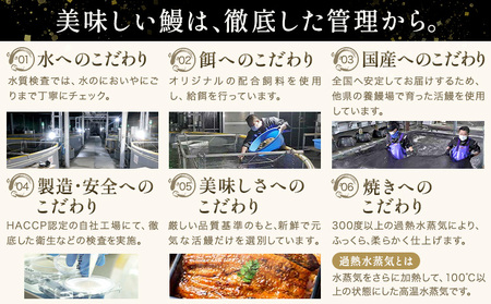 【隔月定期便全3回】＼特大サイズ／ 鹿児島県産 鰻蒲焼真空セット！ 5尾 タレ・山椒付！ 株式会社薩摩川内鰻 《お申込みの翌月から出荷》 鹿児島県 さつま町 送料無料 ウナギ 丑の日 うなぎ 刻み グ