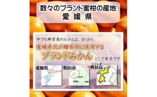 【2025年11月下旬頃より順次発送】興居島みかん 約6kg（L〜Sサイズ） 愛媛 みかん 柑橘 興居島 ごごしま ブランド  みかん 蜜柑 柑橘  フルーツ 愛媛県 松山市