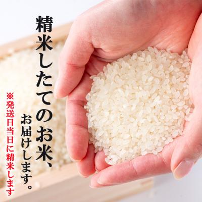 ふるさと納税 小郡市 米 5kg 発送当日に精米します 小郡産 特A 特別栽培米 ひのひかり[No5354-0266] |  | 02