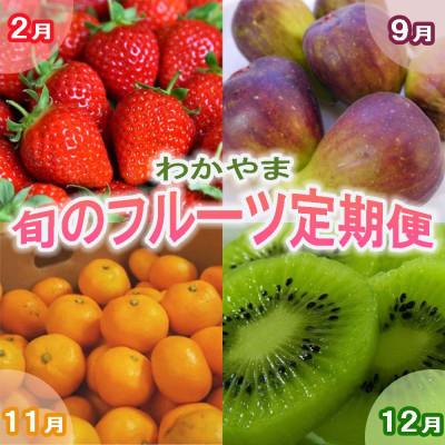 ふるさと納税 紀の川市 【発送月固定定期便】和歌山の旬のフルーツ(いちご・いちじく・みかん・キウイ)定期便全4回
