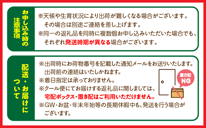 【数量限定】旬のくだもの【極】定期便【全9回】 きんかん たまたま いちご 苺 イチゴ せとか マンゴー 太陽のタマゴ スイカ メロン 温州みかん  日向夏 完熟 種なしフルーツ 果物 定期便