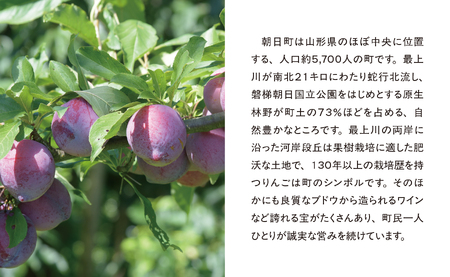 プラム 秋姫 ２kg 大玉 3L～4L 秀品 化粧詰め 【2025年９月中旬～９月下旬発送】 山形県 朝日町産 山形産 すもも スモモ フルーツ 果物 秋
