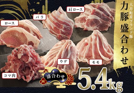 【国産】力豚 豚肉 6種盛5.4kg（バラ 肩ロース ウデ こま モモ ロース）小分け おすすめ