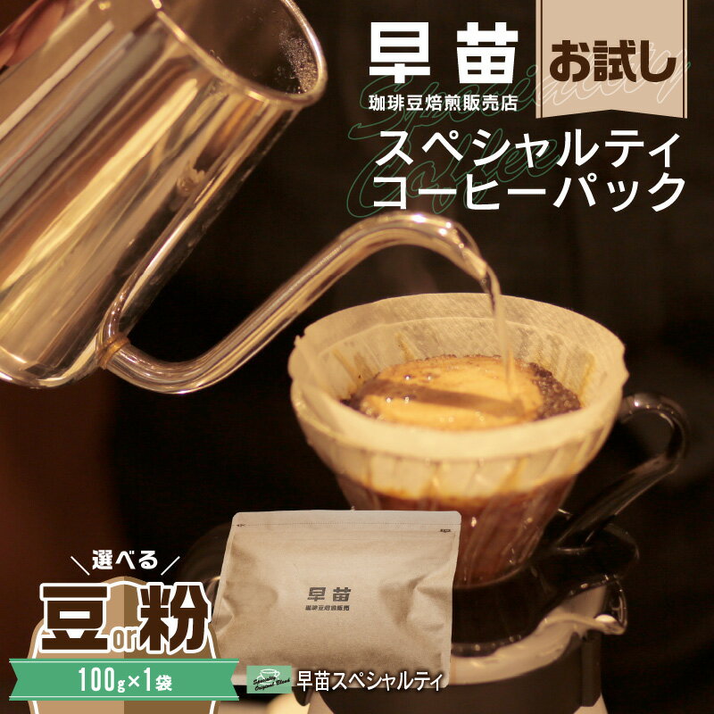 【ふるさと納税】【早苗】焙煎珈琲豆（お試しスペシャルティコーヒーパック100g） スペシャルティコーヒー 珈琲 お試し 飲みやすい ジッパー チャック付き 100g 豆 粉 東京 新宿 0020-001-S05