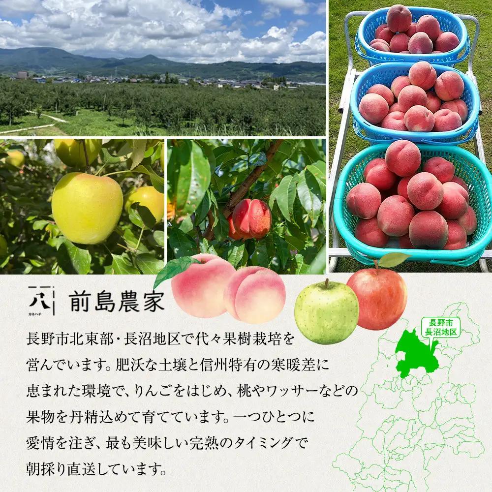 信州りんご・3種詰合わせ（サンふじ・シナノゴールド・名月）約5kg（12個～16個）｜ フルーツ