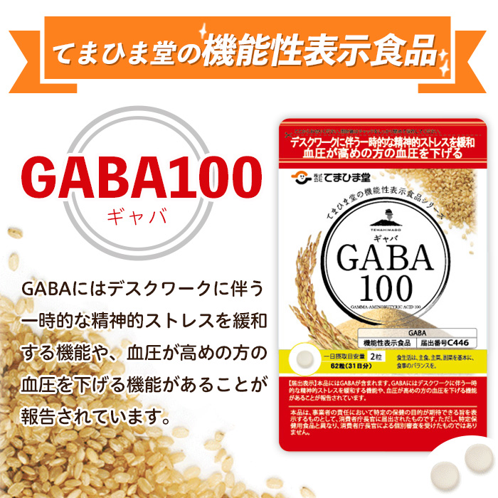 No.1286-A ＜定期便・全3回(隔月)＞GABA100(1袋 62粒入・2袋×3回 計6袋) 鹿児島 日置市 健康食品 機能性表示食品 サプリ 栄養バランス 高血圧 定期便 頒布会【てまひま堂】