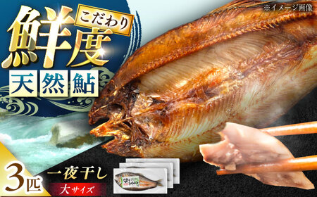天然あゆ の一夜干し 大 3匹【スピード配送】/ 恵那市 / 恵那物産館 [AUFS002]