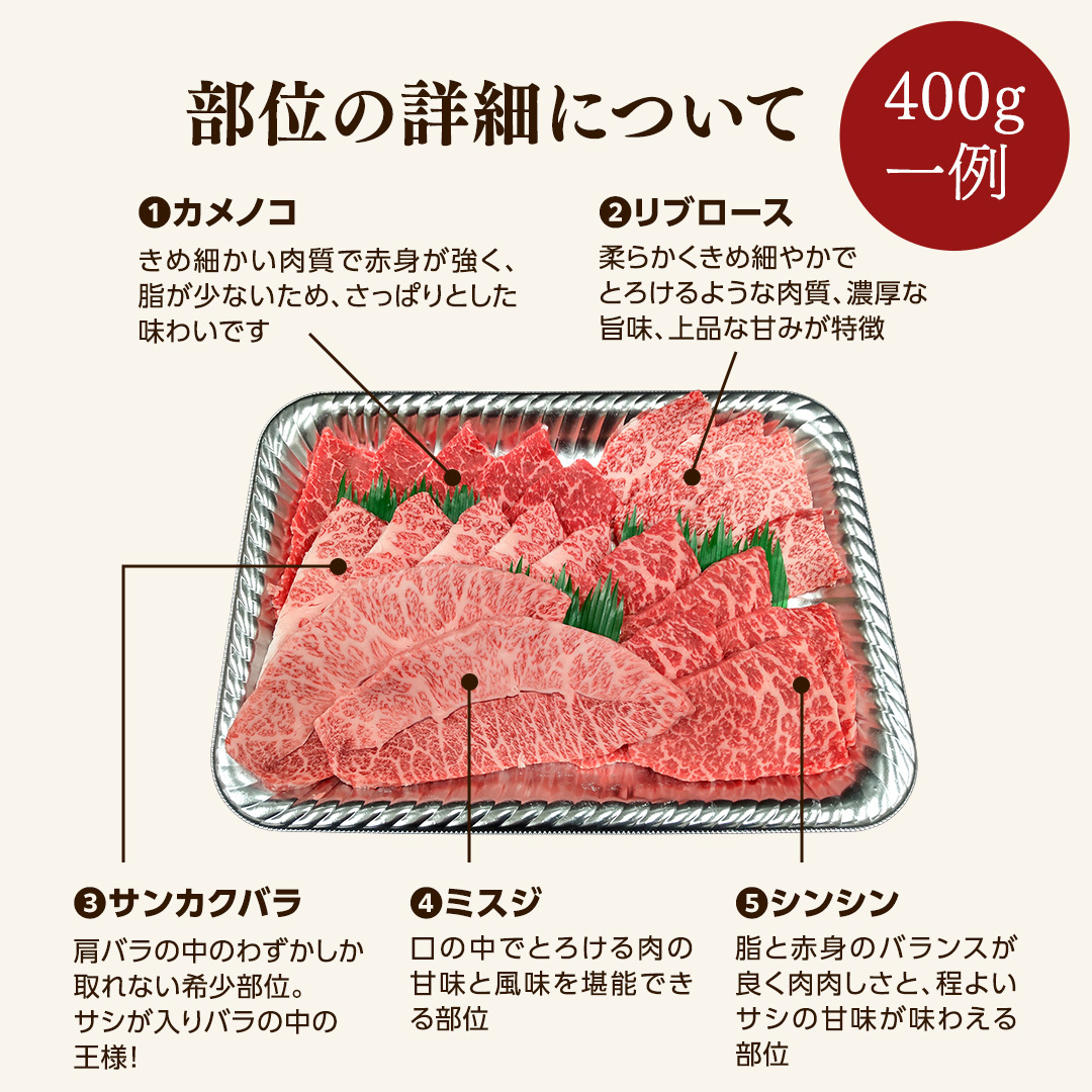 【 常陸牛 】 焼肉 5種盛りセット400g（各種 約80g) (茨城県共通返礼品) 黒毛和牛 厳選部位 焼肉食べ比べ ひたちぎゅう 和牛 国産牛 ミスジ イチボ ササミ ザブトン シンシン カイノミ