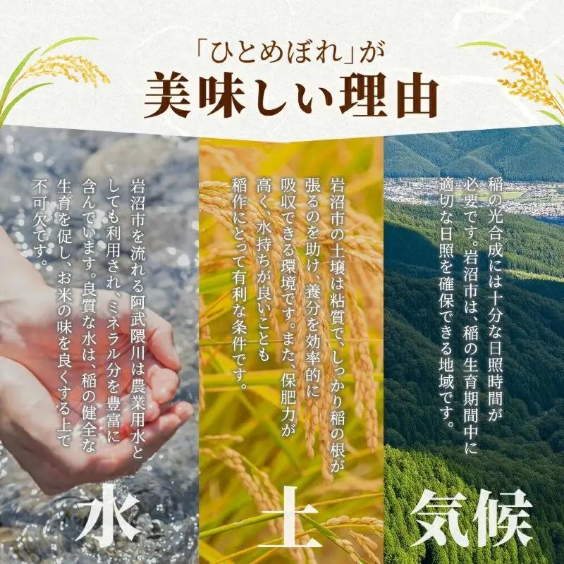 【令和8年産 】 食味鑑定士厳選 新米 ひとめぼれ 無洗米 10kg 9か月 定期便 コメ （5kg 2袋）