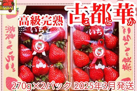 いちご好きのためのいちご 奈良県ブランドいちご 「古都華（ことか）」2025年3月発送 / いちごいちごいちごいちごいちごいちごいちごいちごいちごいちごいちごいちごいちごいちごいちごいちごいちごいちごいちごいちごいちごいちごいちごいちごいちごいちごいちごいちごいちごいちごいちごいちごいちごいちごいちごいちごいちごいちごいちごいちごいちごいちごいちごいちごいちごいちごいちごいちごいちごいちごいちごいちごいちごいちごいちごいちごいちごいちごいちごいちごいちごいちごいちごいちごいちごいちごいちごいちごいちごいちご