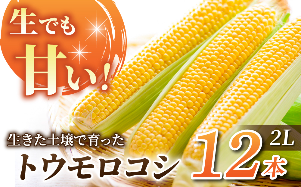 先行予約【里山JAPAN】生でもすごく甘い！生きた土壌で育った『とうもろこし』2Lサイズ12本｜2025年7月以降発送予定