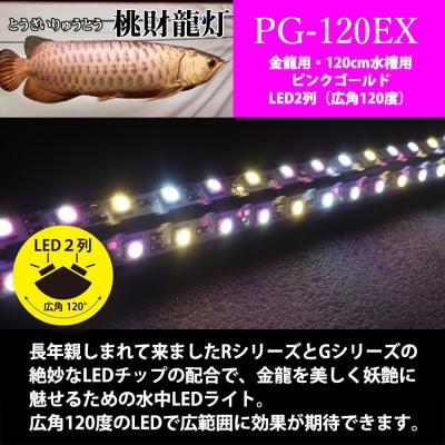 ふるさと納税 小牧市 金龍の鱗を美しく照らす!ピンクゴールドの水中アロワナライト|PG120-EX[172C16] |  | 01