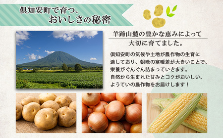 【2026年発送】北海道産 有機 野菜BOX 8種類 詰め合わせ セット 採れたて 夏野菜 オーガニック 旬 新鮮 詰め合わせ お取り寄せ 産地直送 産直 野菜 農作物 ギフト 野菜セット 