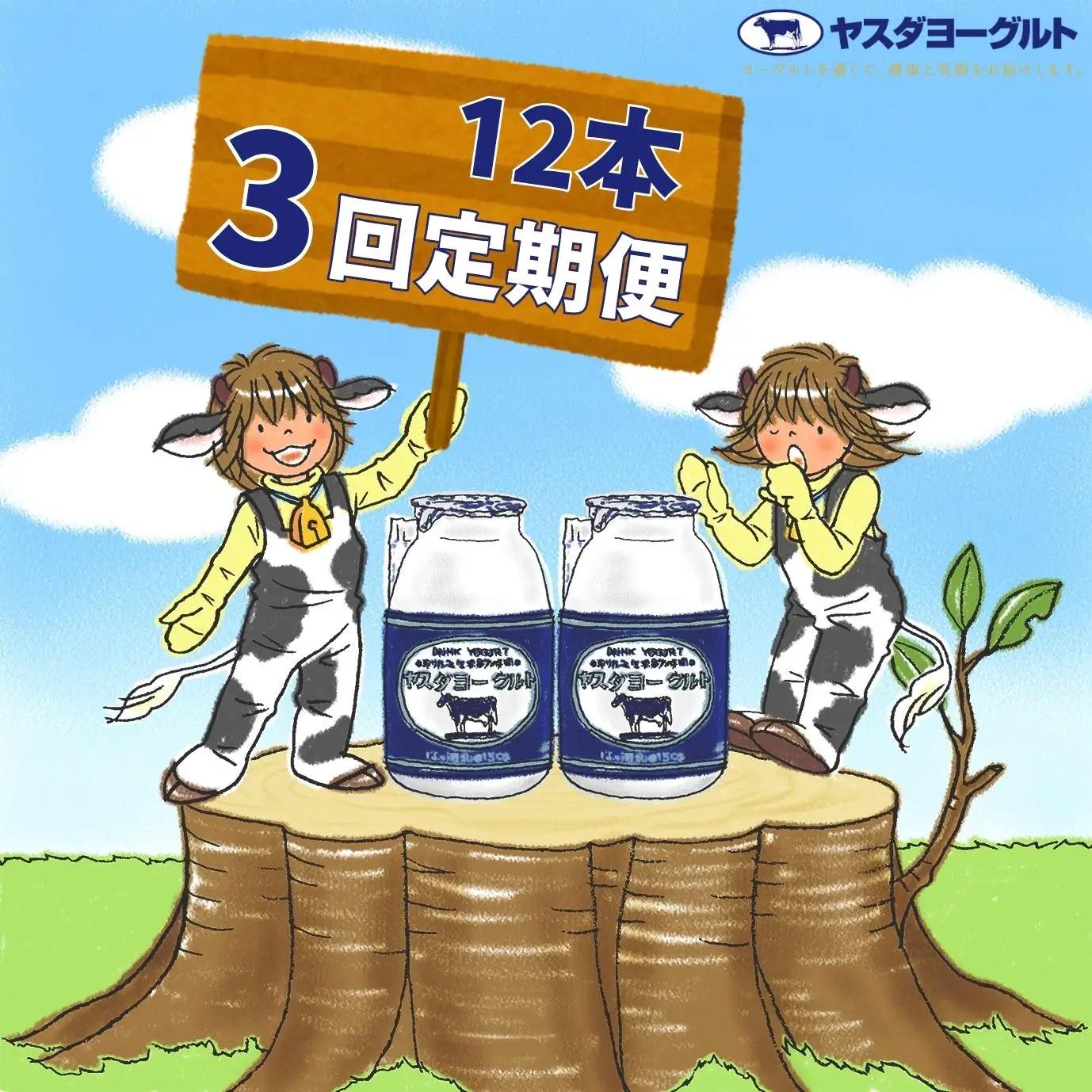 【3か月定期便】ヤスダヨーグルト 150g×12本×3回 小ボトル こだわり生乳 新鮮 濃厚  飲むヨーグルト のむよーぐると ヨーグルト 1B02019