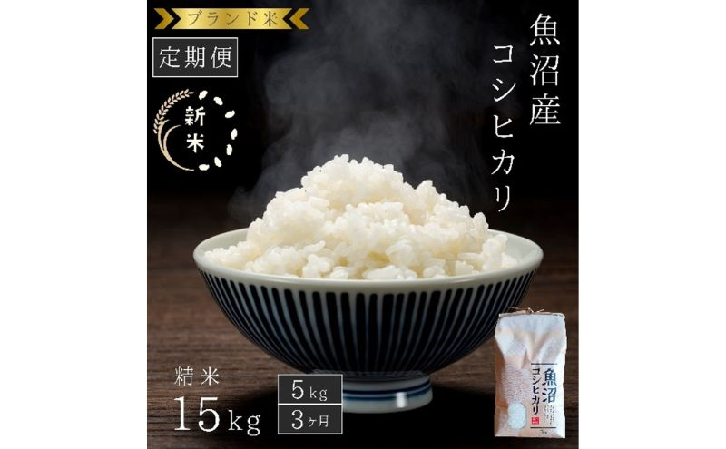 
            [№5762-1204]【定期便：精米5kg×3ヶ月】ブランド米 魚沼産コシヒカリ 米 コメ こめ お米 おこめ 白米 こしひかり 新潟県産 人気 お取り寄せ
          