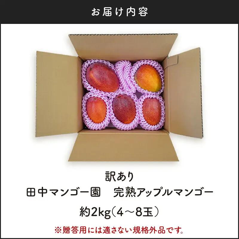 【 2027年 先行予約 】 訳あり 田中マンゴー園 完熟 アップル マンゴー 約 2kg（ 4～8玉 ）（ ご家庭用 ） W001-008u わけあり 果物