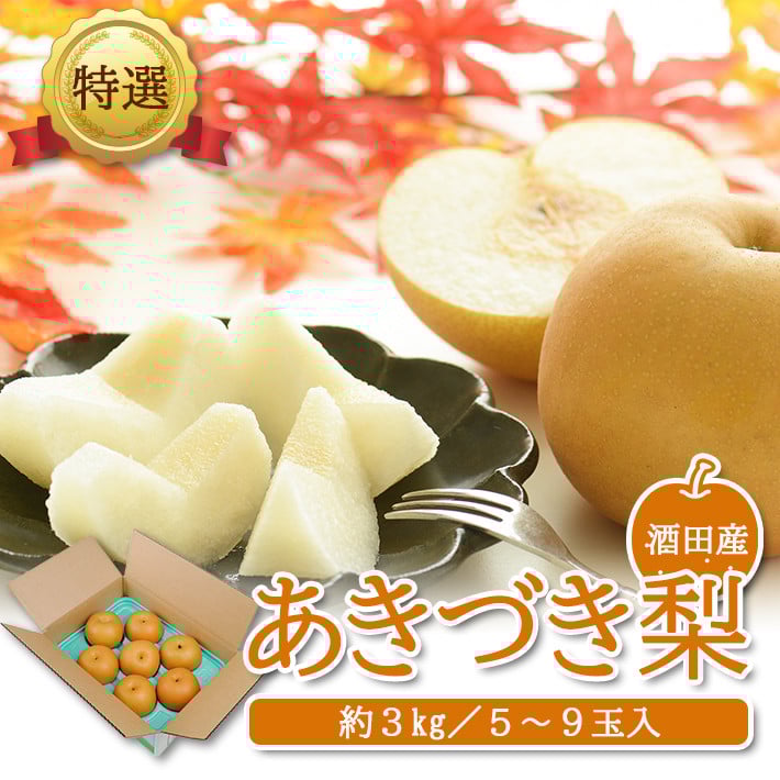 
            SA2640　酒田産【特選】あきづき梨　約3kg(5～9玉入)
          