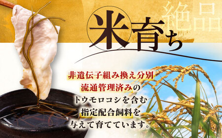 【全3回定期便】 三元豚 しゃぶしゃぶセット 計900g（ロース） だし・昆布付き 《喜茂別町》【平田牧場】 肉 豚肉 ロース ロース肉 セット しゃぶしゃぶ 鍋 お鍋 冷凍配送 定期便[AJAP01