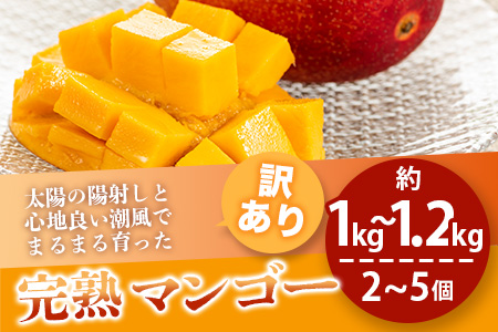 【予約販売】【訳あり】 完熟 マンゴー (約1～1.2kg 2～5個)B級 《2024年7月上旬から順次発送》 産地直送 フルーツ 果物 マンゴー  石垣 沖縄 KP-13