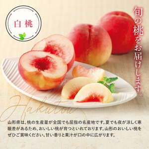 【令和8年産先行予約】 もも「清水白桃」 約3kg (11～15玉 特秀) 《令和8年8月中旬～発送》 『NOWAフルーツ』 モモ 果物 フルーツ 山形南陽産 山形県 南陽市 [2246-R8]