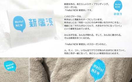 【年末限定】今治タオルブランド 「祈」シリーズ バスローブ & タオルケットセット 限定カラー シャンパングリーン ※　バスローブサイズ（S） 【Hello!NEW】【12月31日まで】【期間限定】