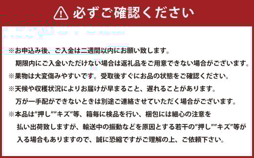 【2回定期便】岡山県産 シャインマスカット 晴王 計約2.4kg 2房（1房600g以上）×2回【2026年8月下旬発送開始】 フルーツ 果物 くだもの 定期便 2回 ぶどう 葡萄 マスカット 岡山