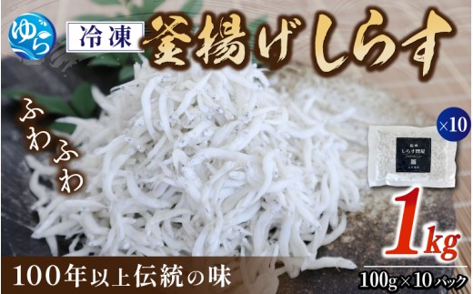 冷凍釜揚げしらす1kg（100g×10） / 小分け 釜揚 シラス しらす丼 国産 冷蔵 個包装 魚 お魚 さかな 食品 和歌山県 由良町【dig003】