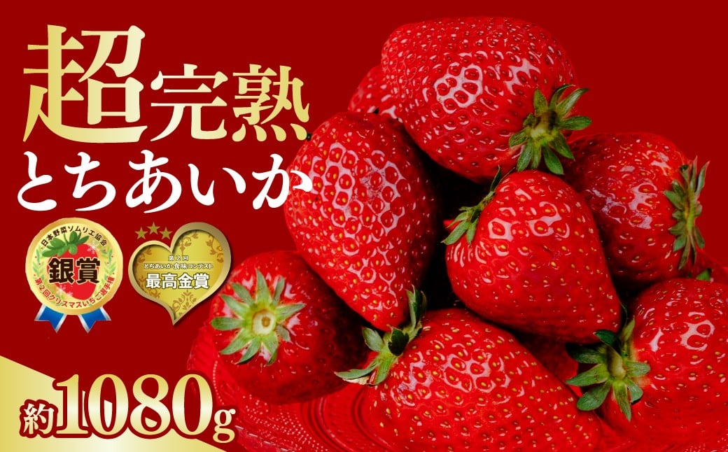 
                  いちご【選べる発送月】いちご  選手権金賞農園の 厳選&完熟&朝摘み とちあいか レギュラーサイズ 約270g × 4パック 合計1080g | いちご イチゴ 苺 とちあいか とちおとめ 第2回いちご選手権金賞 ブランドいちご ストロベリー 完熟 甘い あまい 果物 フルーツ くだもの 旬 産地直送 栃木県産 鈴木ファーム 栃木県 茂木町
                
