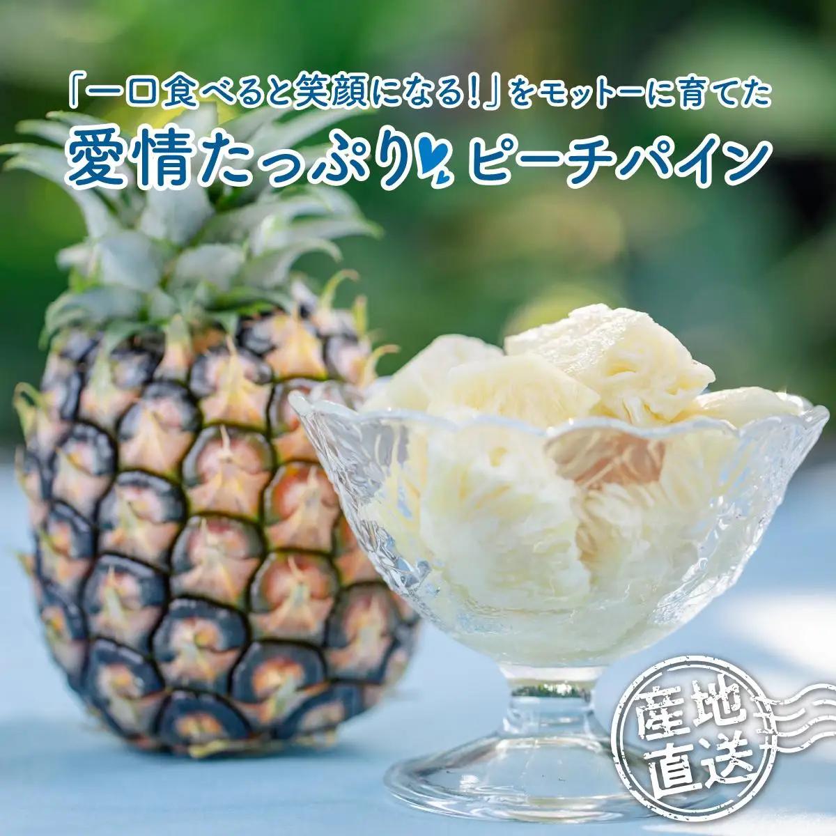 【2027年先行予約】小玉 ピーチパイン 約3kg 
