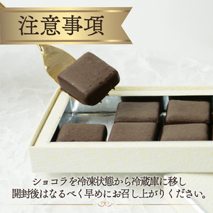 ドメーヌ ショコラ 8粒入り チョコレート カカオ 豆 冷凍 母の日 贈答 ギフト プレゼント バレンタイン チョコ クリスマス 静岡県 長泉町