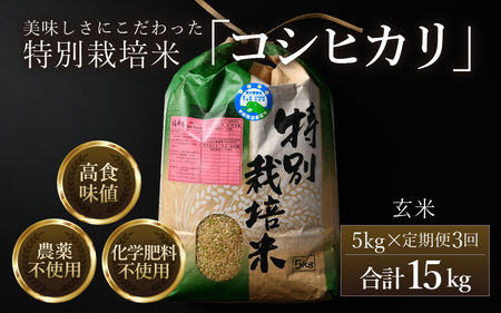 【令和7年産】定期便《3ヶ月連続お届け》コシヒカリ 玄米 5kg （計15kg）特別栽培米 農薬不使用 化学肥料不使用 ／ 残留農薬ゼロ 高品質 鮮度抜群 福井県産 ブランド米 [aw063-d003]