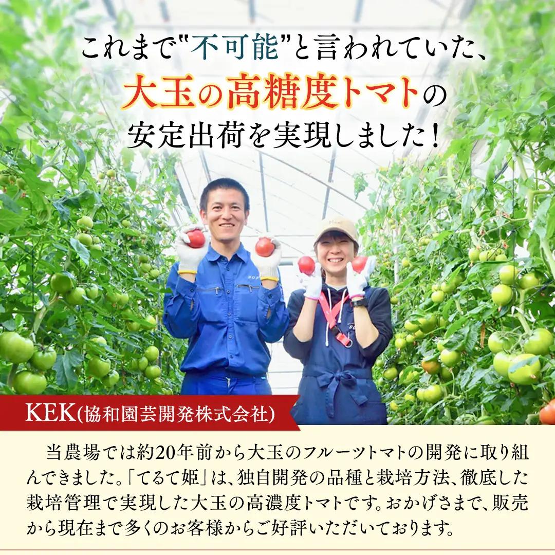 《 2027年 収穫分 》2～6月配送 スーパーフルーツトマト てるて姫 中箱 約1.2kg × 1箱 【12〜15玉/1箱】 糖度9度以上 定期便 先行予約 フルーツトマト ブランドトマト 野菜 ギ
