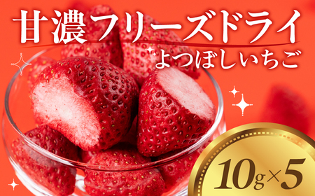 【先行予約品】フリーズドライいちご よつぼし 苺 豊橋産 いちご