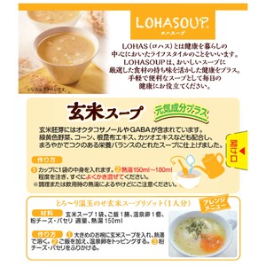 H-243　LOHASOUP 玄米スープ12袋×２個セット