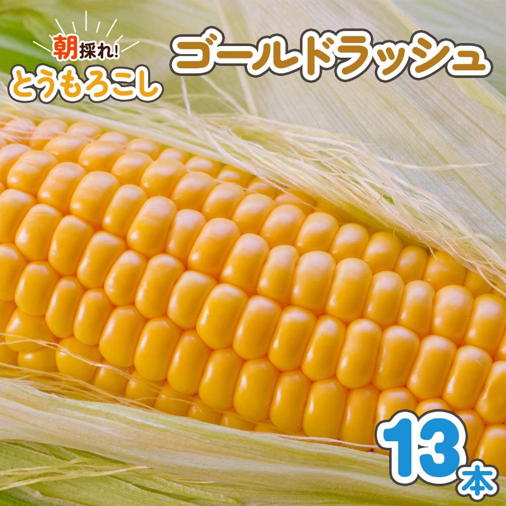 
            朝採れとうもろこし ゴールドラッシュ 13本入｜トウモロコシ スイートコーン 野菜 [0388ch]
          