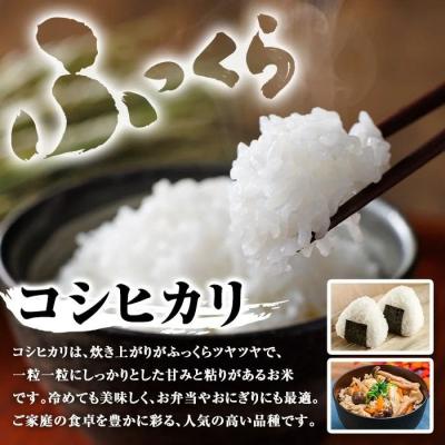 ふるさと納税 肝付町 令和7年産 新米 鹿児島県産 コシヒカリ 5kg　A95001 |  | 01