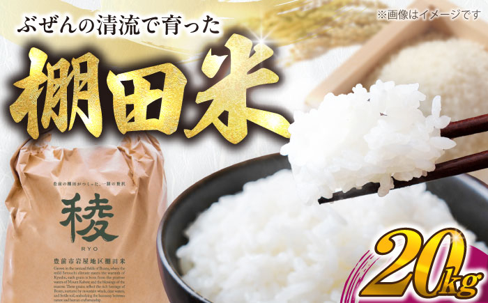 
            【新米】求菩提米　夢つくし　20kg (5kg×4袋) 《豊前市》【アグリネックス】 米 お米 白米 20キロ 米20kg 米20キロ  新米 産地直送 精米 国産 おすすめ おいしい 2025年 甘い 人気 ランキング [VCO005]
          