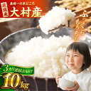 【ふるさと納税】【3回定期便】長崎県大村市産 お米 10kg / 米 白米 ご飯 / 大村市 / おおむら夢ファームシュシュ[ACAA329]