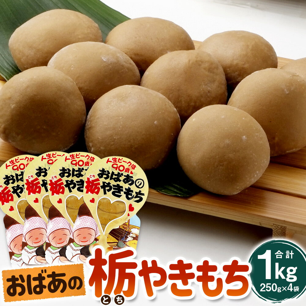 【ふるさと納税】おばあの栃やきもち 250g（5個入）×4袋【1357905】 栃やきもち 栃もち 栃餅 とち餅 餅 もち おもち お餅 焼きもち 焼き餅 栃の実 栃 5個×4袋 合計20個 250g×4袋 合計1kg お菓子 和菓子 菓子 スイーツ 和スイーツ 常温 兵庫県 新温泉町 送料無料