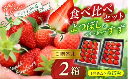 【贈答用】 高級いちご よつぼし すず 食べ比べセット （15粒 × 2箱） ゆりかご入り いちご 【hfpr001-01】
